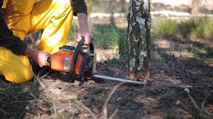 Soil Testing and Treatment in Erie, IL